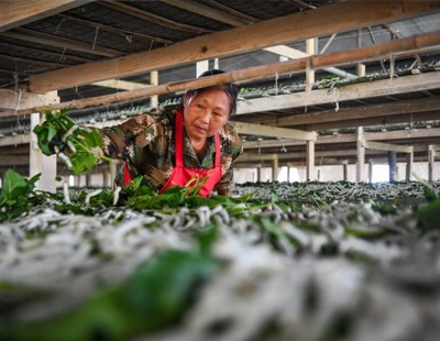 科技助力毕节纺织产业高质量发展座谈会暨招商对接活动在京举行