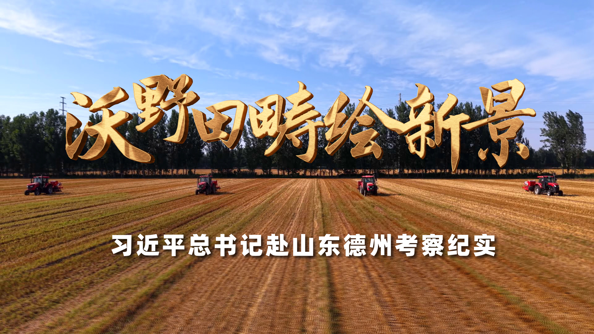 高清在线播放
