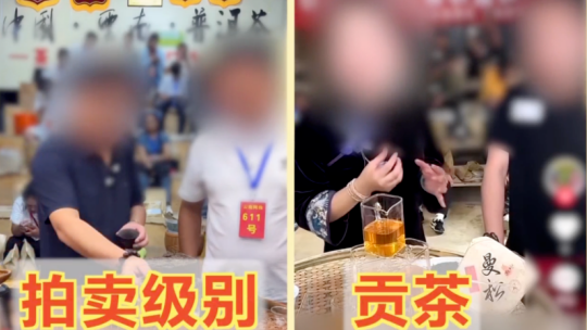 杭州机器人再成外交“明星”