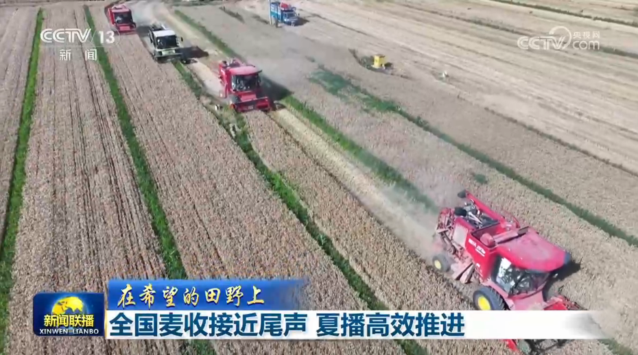 林诗栋蒯曼冠军