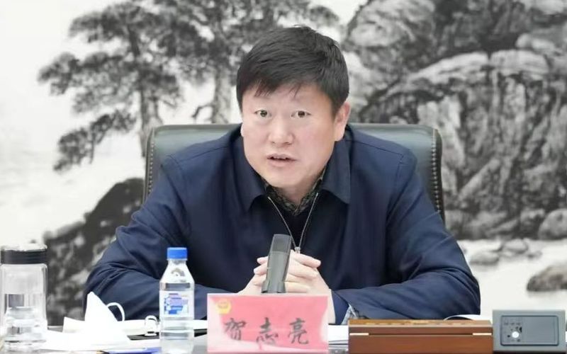 杭州机器人再成外交“明星”