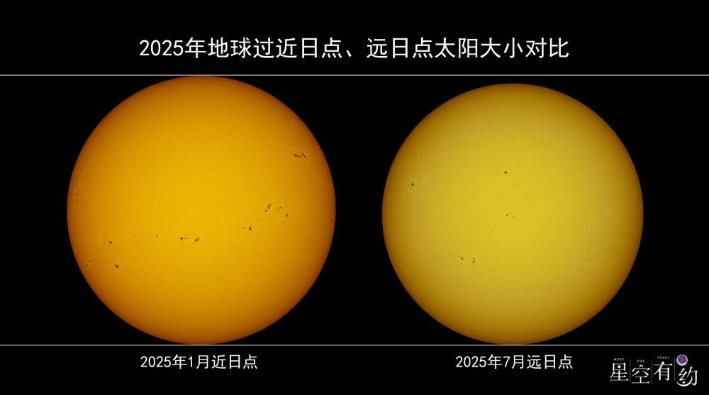 习近平会见孟加拉国总理塔里克