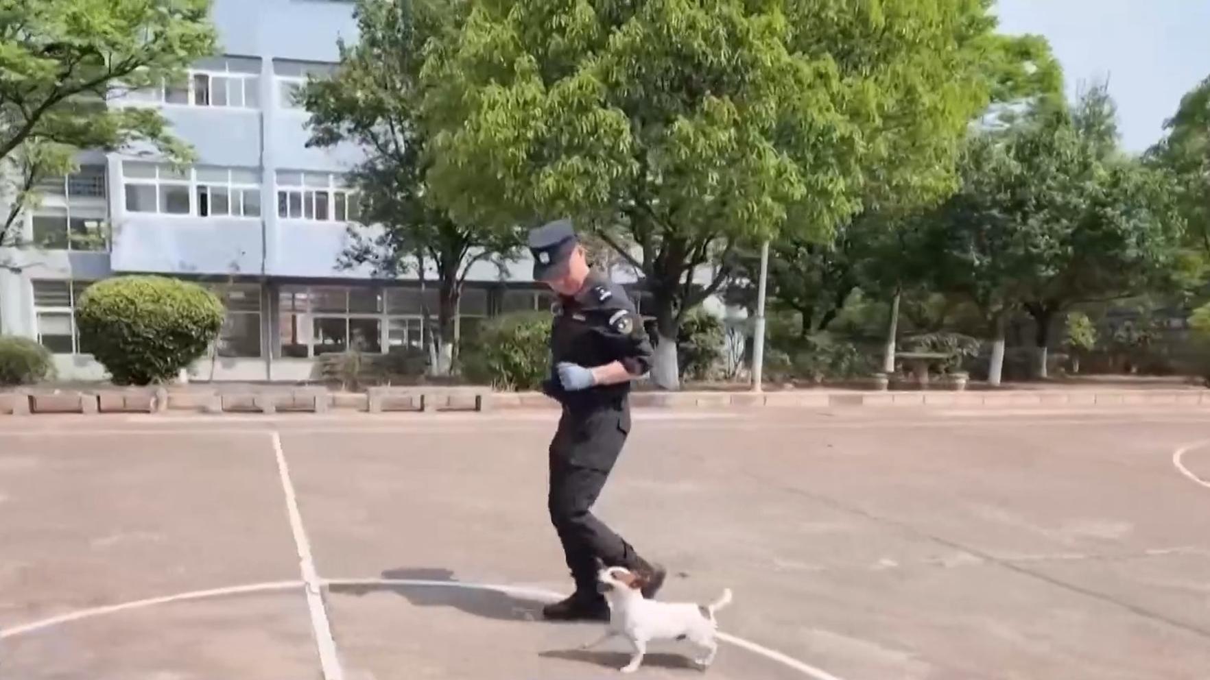 全H全肉禁乱NP