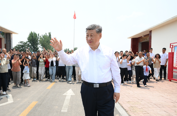 文章模仿向佐动作