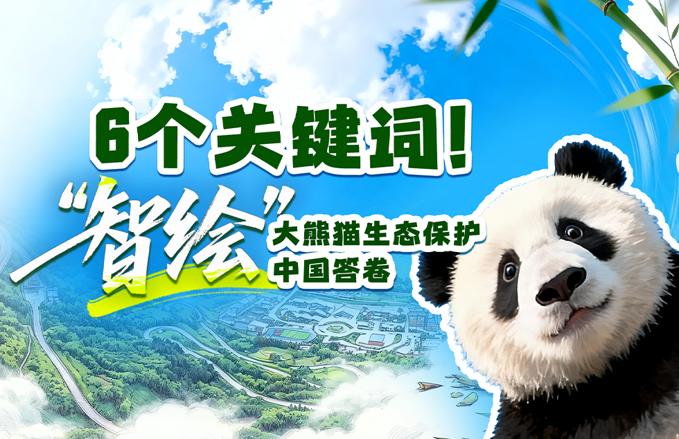 “希望村党组织进一步发挥党建引领作用”
